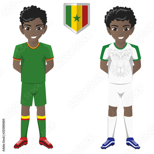 Senegal National Football Team for International Tournament photo