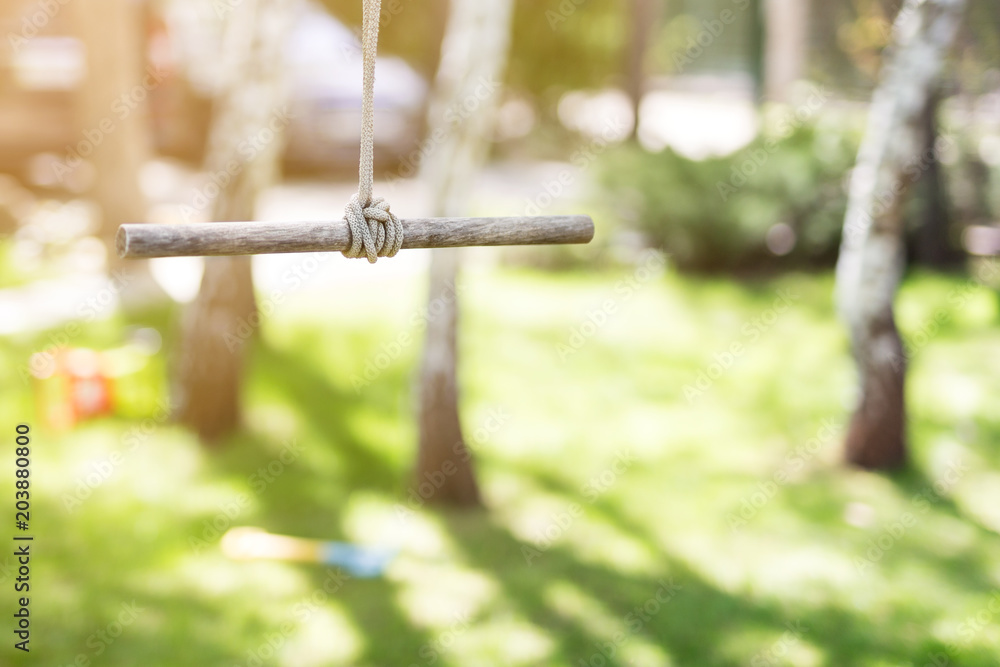 Fototapeta premium Wooden single rope swing in garden on bright sunny day. Green grass lawn on background. Children having fun and summer activity concept