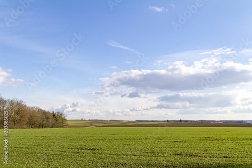 idyllic agriculture scenery at early spring time