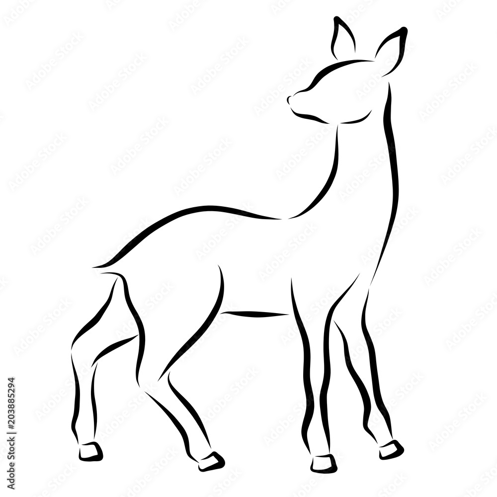 a young deer or doe, black contour a young deer or doe, black contour