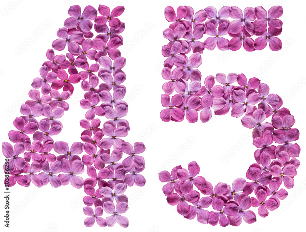 Arabic numeral 45, forty five, from flowers of lilac, isolated on white background Arabic numeral 45, forty five, from flowers of lilac, isolated on white background
