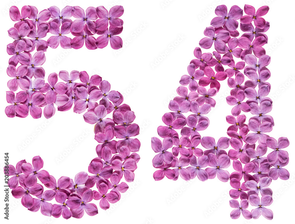 Arabic numeral 54, fifty four, from flowers of lilac, isolated on white background Arabic numeral 54, fifty four, from flowers of lilac, isolated on white background