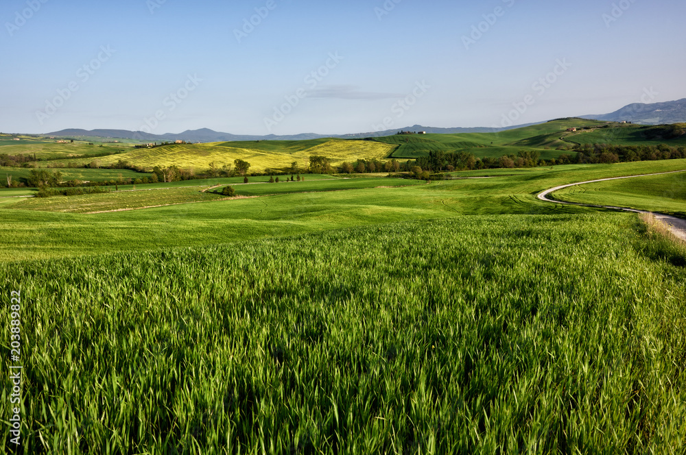 The hill of Tuscany, paradise is next /Tuscany My country My love, LOVELY EARTH from Italy, Tuscany land The hill of Tuscany, paradise is next /Tuscany My country My love, LOVELY EARTH from Italy, Tuscany land