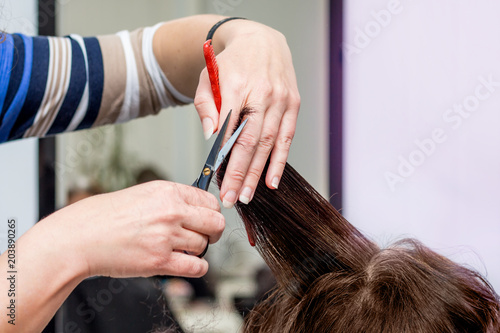 The hairdresser makes hairstyle for woman. Business in field of providing services_