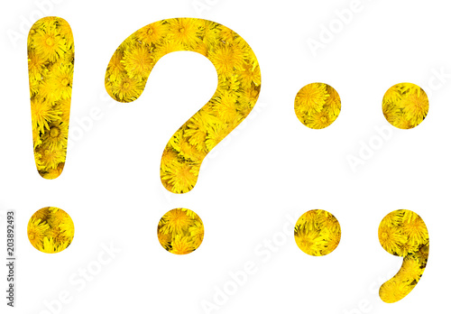 Flower punctuation marks !, ?, :, ;, made of alive flowers dandelions