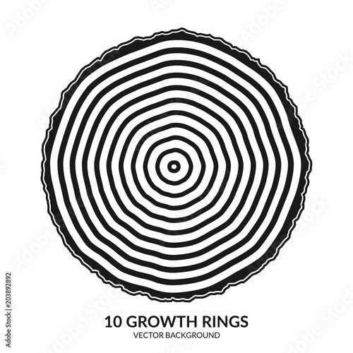 10 growth rings. Tree rings and saw cut tree trunk. Can be used as 10th anniversary concept. Vector illustration