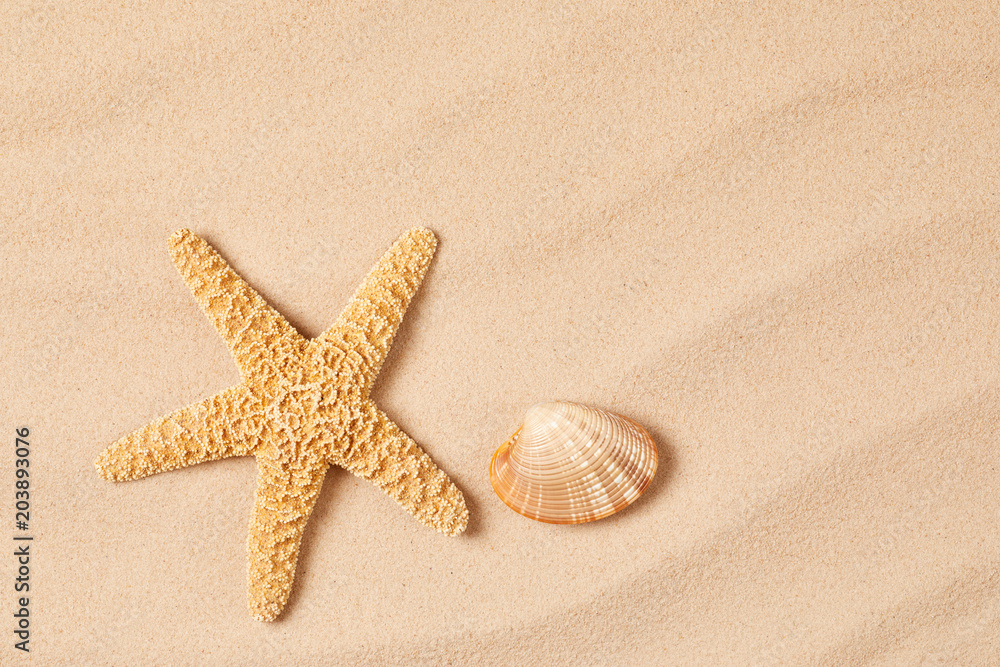 Starfish and cockleshell on sand background Starfish and cockleshell on sand background
