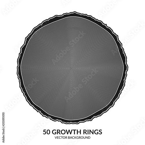 50 growth rings. Tree rings and saw cut tree trunk. Can be used as 50th anniversary concept. Vector illustration