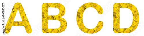 Flower font alphabet a, b, c, d, made of alive flowers dandelions.
