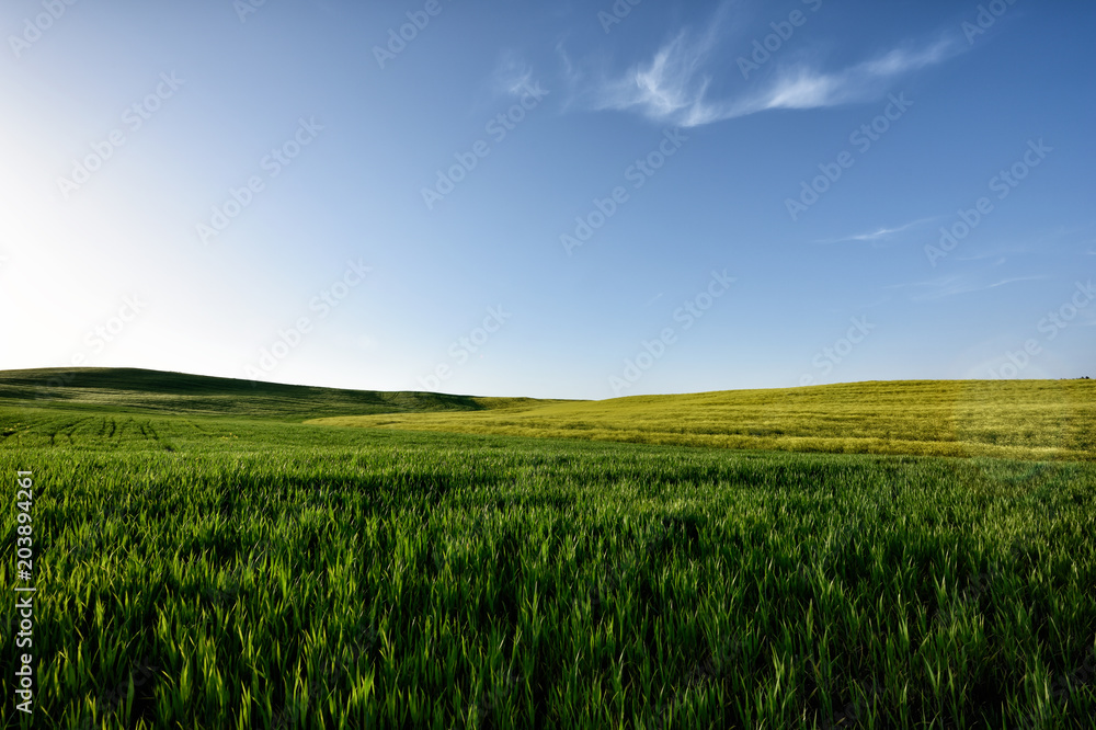 The hill of Tuscany, paradise is next /Tuscany My country My love, LOVELY EARTH from Italy, Tuscany land The hill of Tuscany, paradise is next /Tuscany My country My love, LOVELY EARTH from Italy, Tuscany land