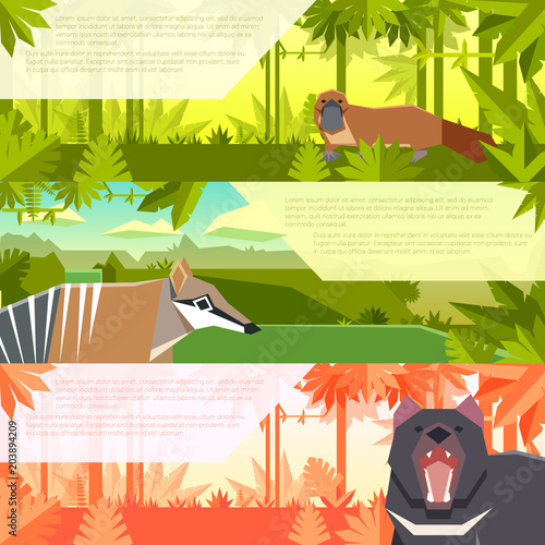 Set of flat banners with australian animals