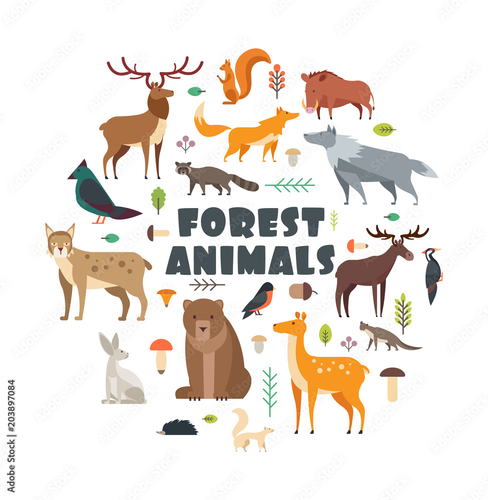 Wild forest animals and birds arranged in circle. Vector cover design Wild forest animals and birds arranged in circle. Vector cover design
