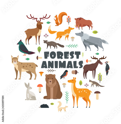 Wild forest animals and birds arranged in circle. Vector cover design