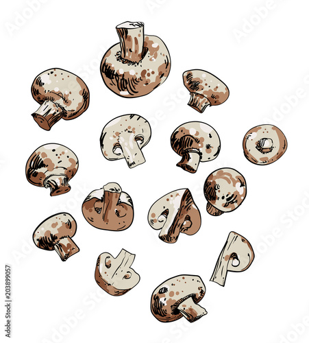 Champignon isolated on white background.