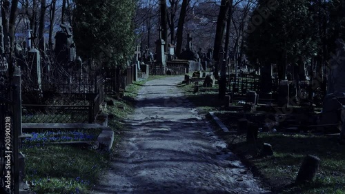 Walking at night in the old cemetery photo