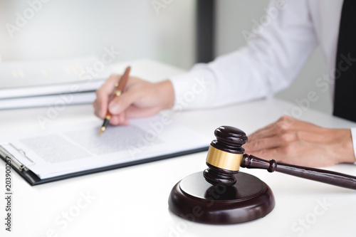 executive lawyer consultant working with documents