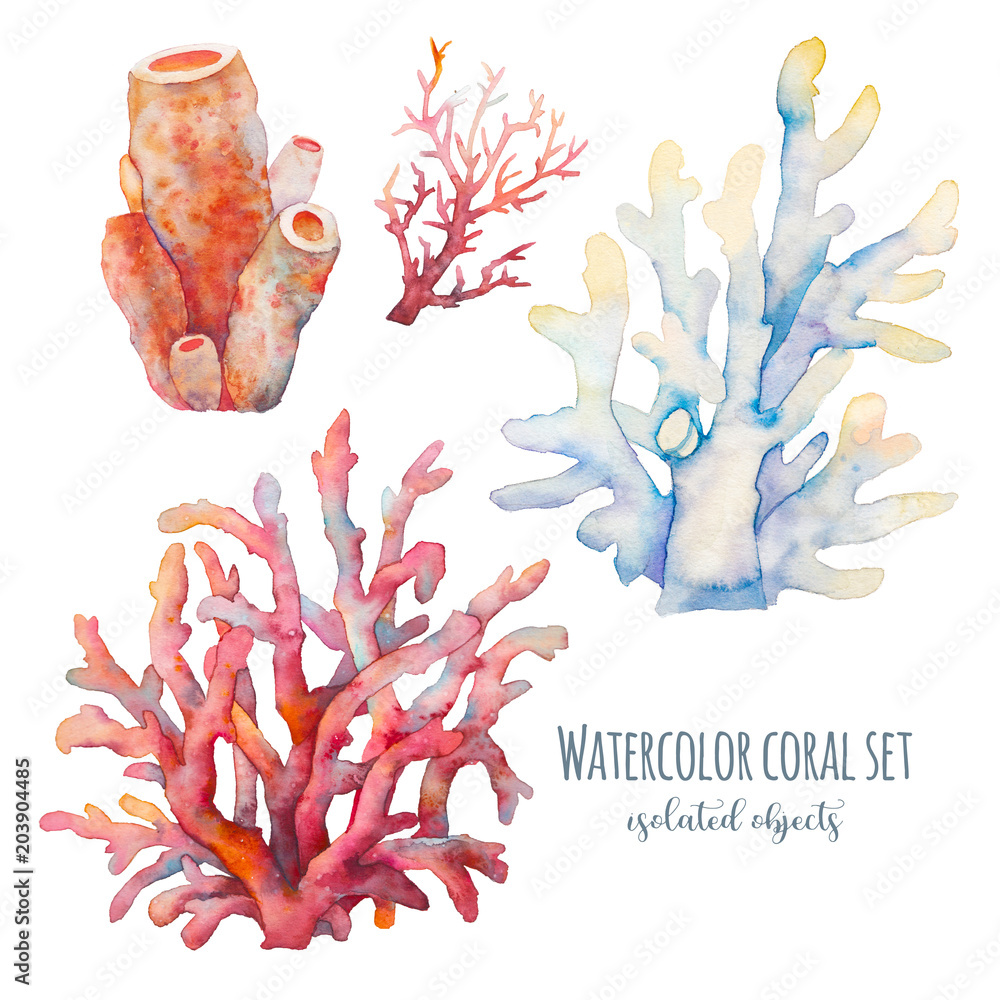 Obraz premium Akwarela koralowa ilustracja. Ręcznie rysowane na białym tle podwodne gałęzie na białym tle. Kolekcja Sea Life