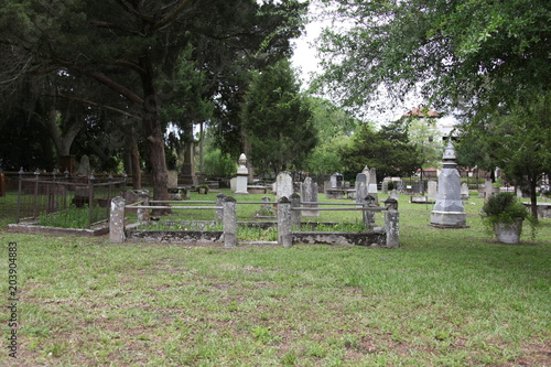 Fototapeta old huguenot cemetery St Augustine Florida Usa