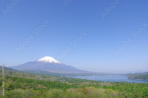 パノラマ台からの富士山