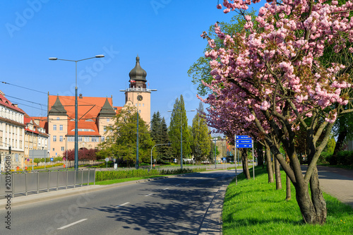 View of the City Government Office of Elblag through the flowering trees
