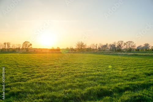 spring sunset 