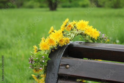 Fototapeta Naklejka Na Ścianę i Meble -  Wreath of yellow dandelions on a brown bench in the park