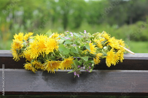 Fototapeta Naklejka Na Ścianę i Meble -  Wreath of yellow dandelions on a brown bench in the park