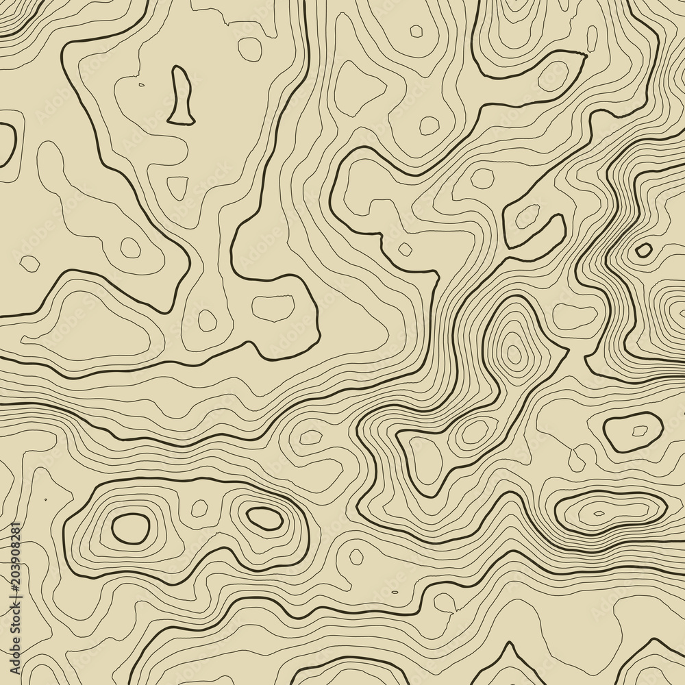 Topographic map background concept with space for your copy. Topography lines art contour , mountain hiking trail , Shape vector design. Computer generated . Topographic map background concept with space for your copy. Topography lines art contour , mountain hiking trail , Shape vector design. Computer generated .