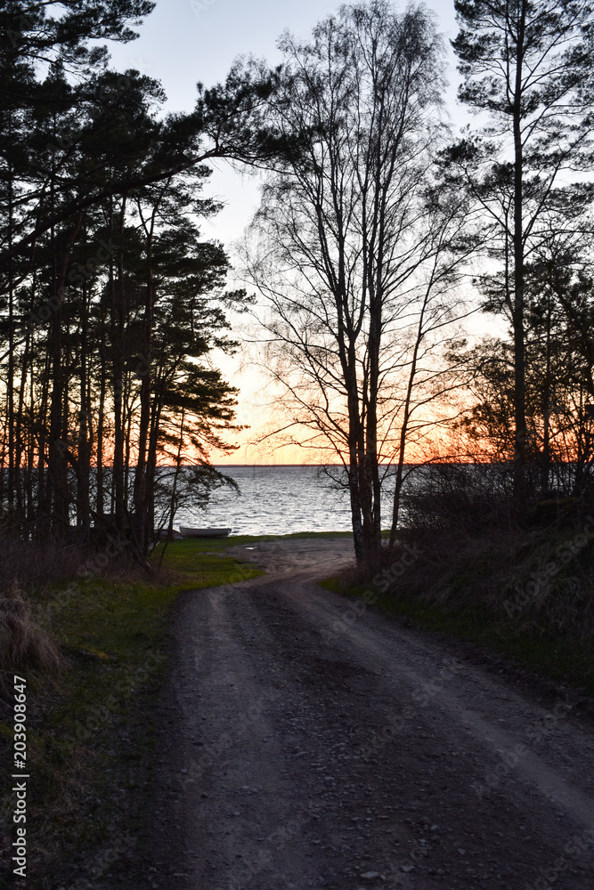 Naklejka premium Heading to the coast by sunset