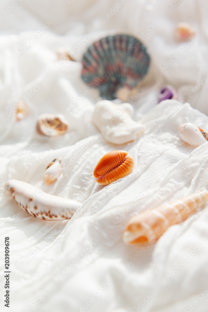 White textile background with different shells. Sea corals on fabric with ruches. White textile background with different shells. Sea corals on fabric with ruches.