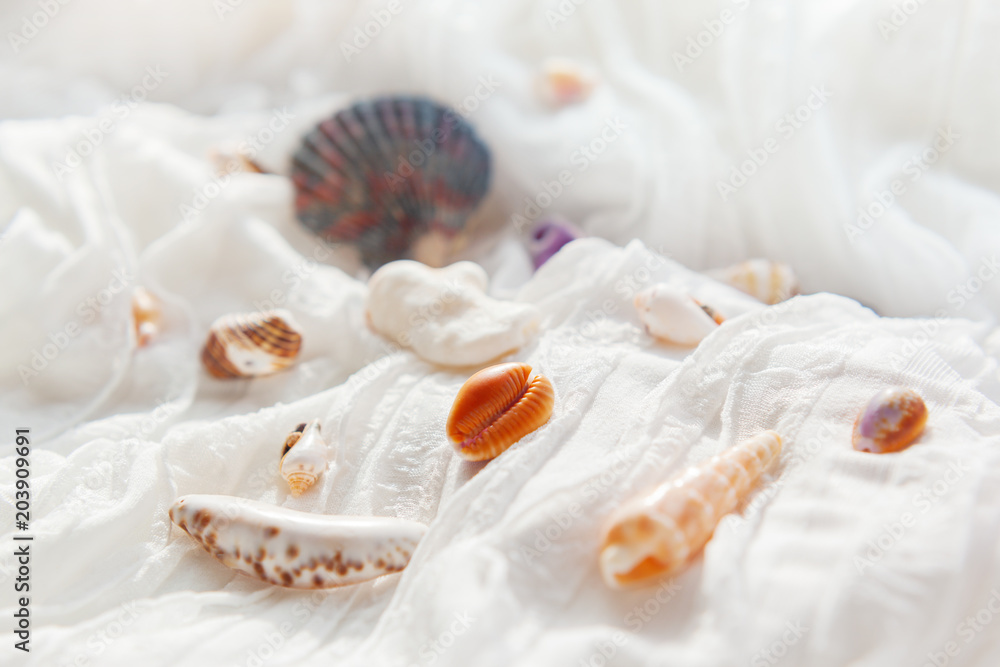 White textile background with different shells. Sea corals on fabric with ruches. White textile background with different shells. Sea corals on fabric with ruches.