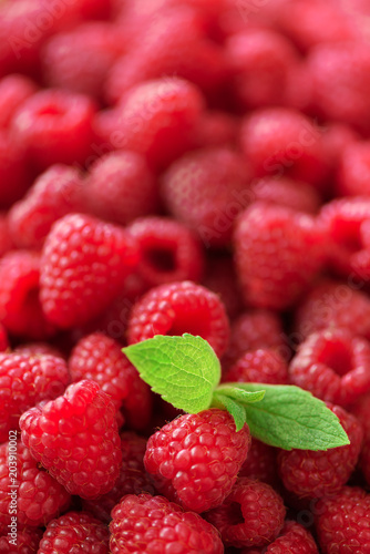 Fresh organic raspberries with mint leaves. Fruit background with copy space. Summer and berries harvest concept. Vegan, vegetarian, raw food.
