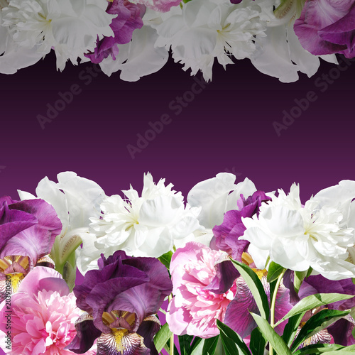 Fototapeta Naklejka Na Ścianę i Meble -  Beautiful floral background with peonies and irises 