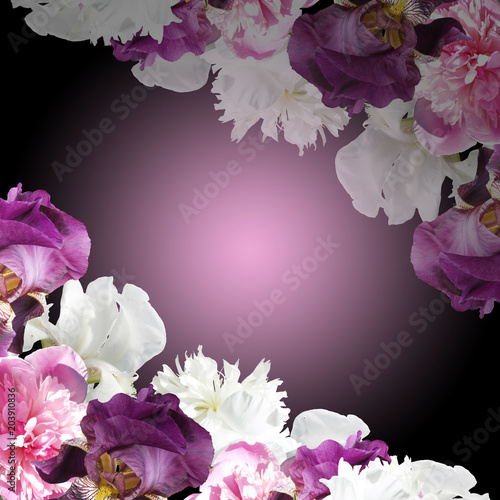 Fototapeta Naklejka Na Ścianę i Meble -  Beautiful floral background with peonies and irises 