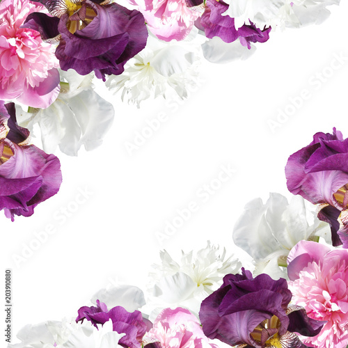 Fototapeta Naklejka Na Ścianę i Meble -  Beautiful floral background with peonies and irises 