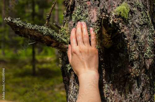 Woman in the wood touching the tree with her hand