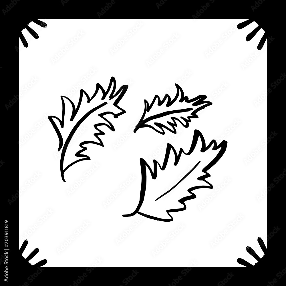 Outline drawing of three leaves in a frame
