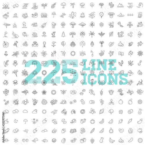 Big natural icon set