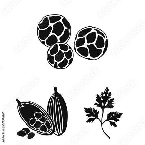 Herb and spices black icons in set collection for design.Different kinds of seasonings vector symbol stock web illustration.
