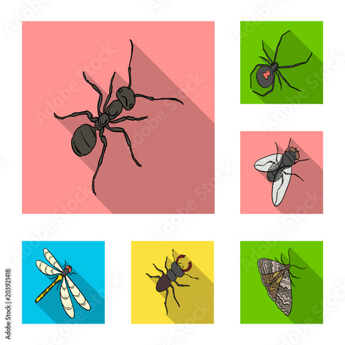 Different kinds of insects flat icons in set collection for design. Insect arthropod vector isometric symbol stock web illustration.