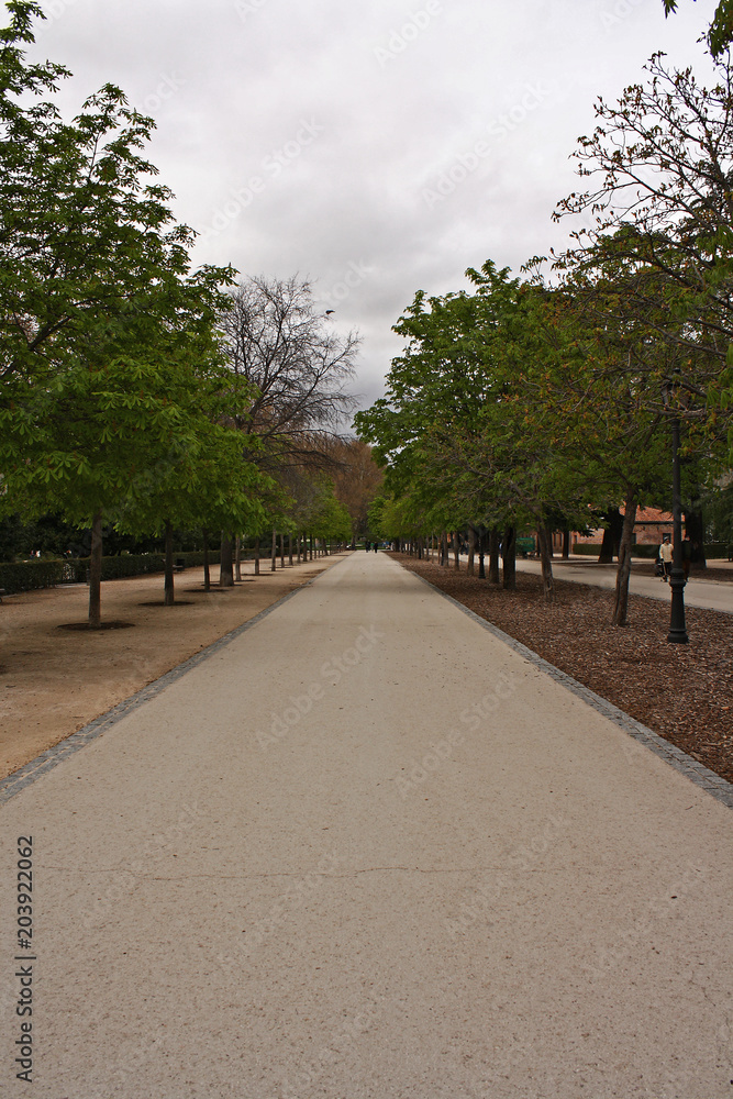 Walk in the park
