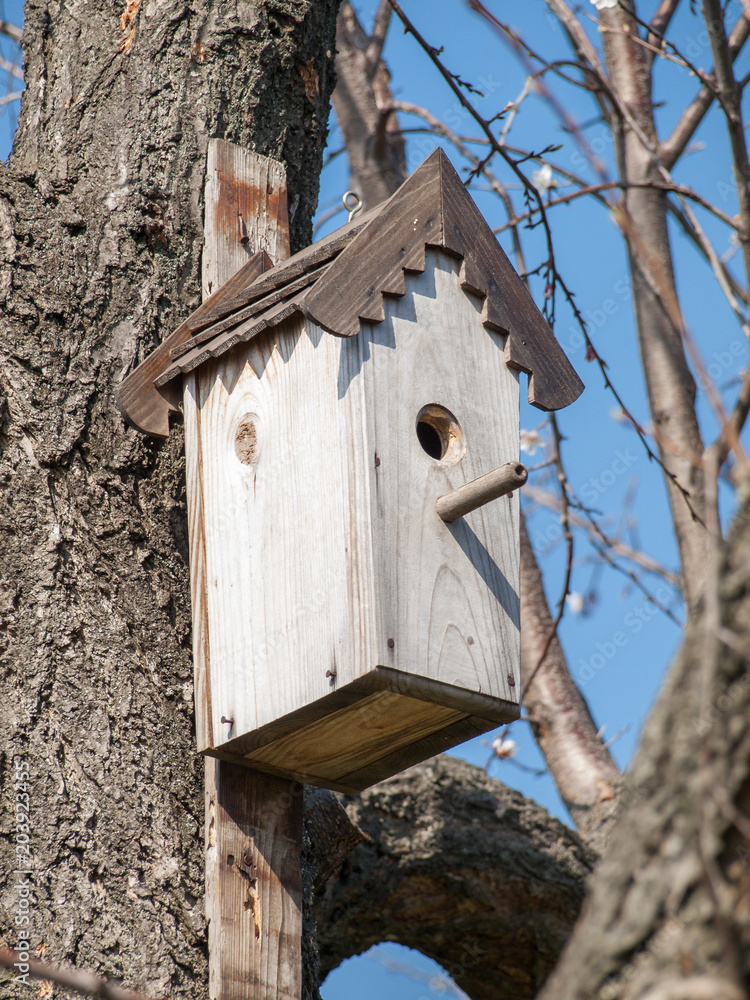 Wooden birdhouse attached to a tree in springtime Wooden birdhouse attached to a tree in springtime