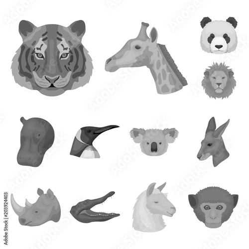 Wild animal monochrome icons in set collection for design. Mammal and bird vector symbol stock web illustration. photo