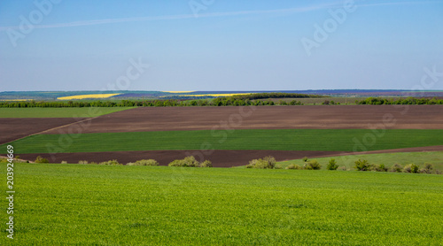 Arable land and green grass fields on clear blue sky. Agriculture concept. Beautiful countryside view. Spring and summer farmland with horizon line. Panorama landscape. Green meadows. 