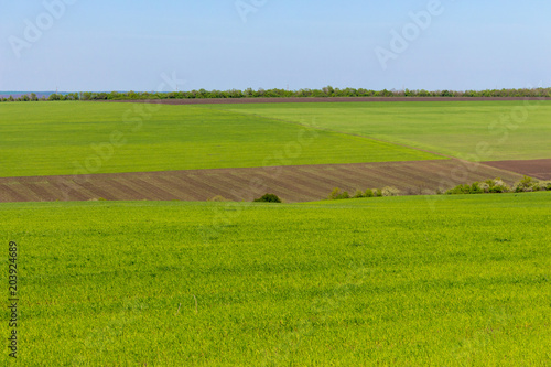Arable land and green grass fields on clear blue sky. Agriculture concept. Beautiful countryside view. Spring and summer farmland with horizon line. Panorama landscape. Green meadows. 