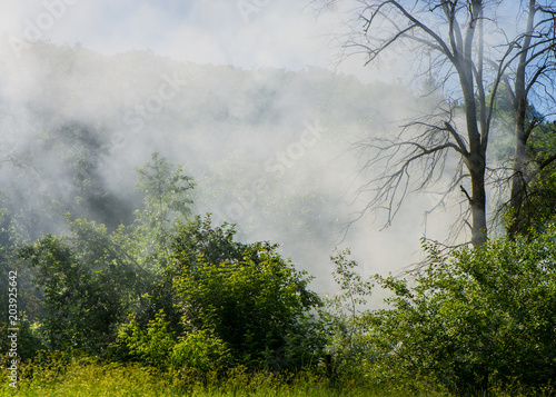 SMOKE FROM FIRE IN THE FOREST WITH A DRYING SUMMER. COUNTRYSIDE.