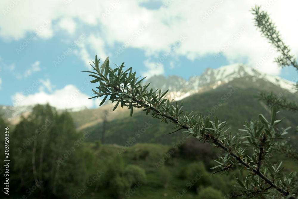 Mountains 10 Mountains 10