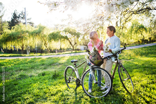 Beautiful senior couple with bicycles outside in spring nature.