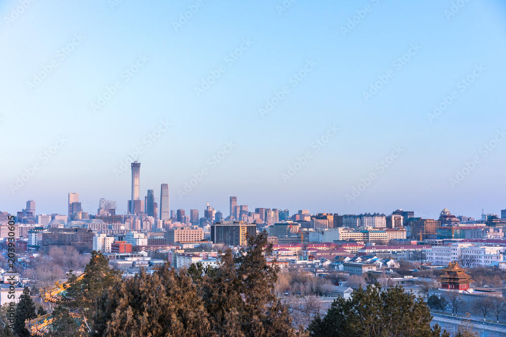 Fototapeta premium panoramic city skyline