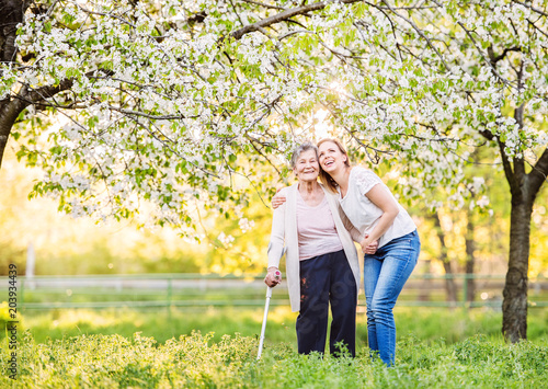 Fényképezés Elderly grandmother with crutch and granddaughter in spring nature
